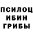 Галлюциногенные грибы Psilocybe Yurgin