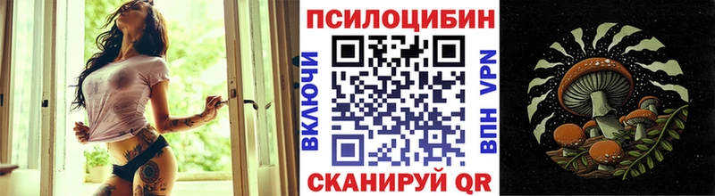 Галлюциногенные грибы ЛСД  hydra ссылки  Салаир 